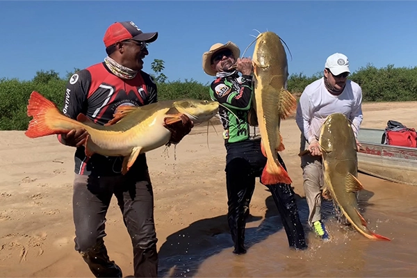 ブラジルのアマゾン河釣りのW杯